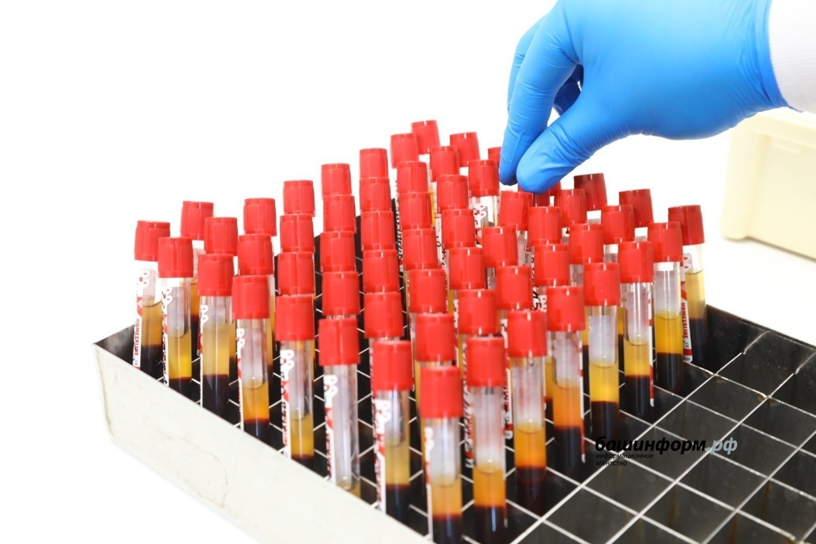 Валерий Шахов, архивное фото