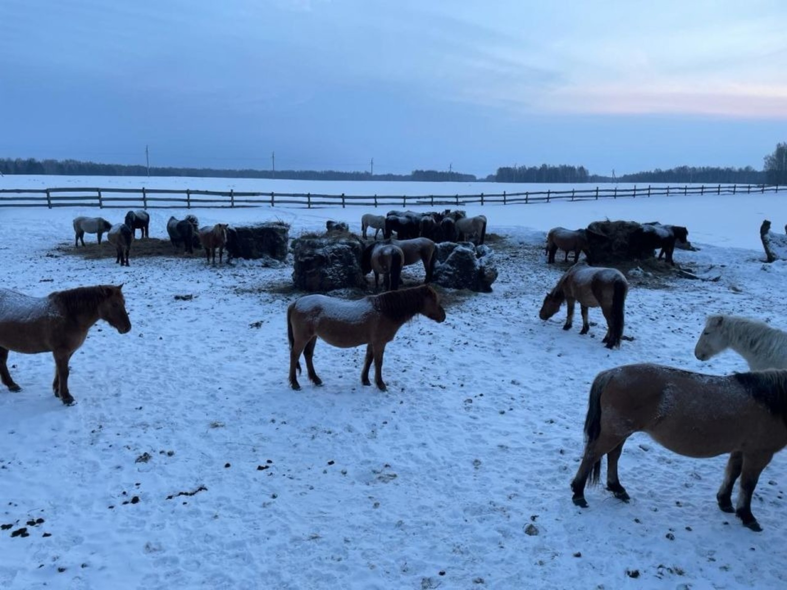 минсельхоз РБ | сайт