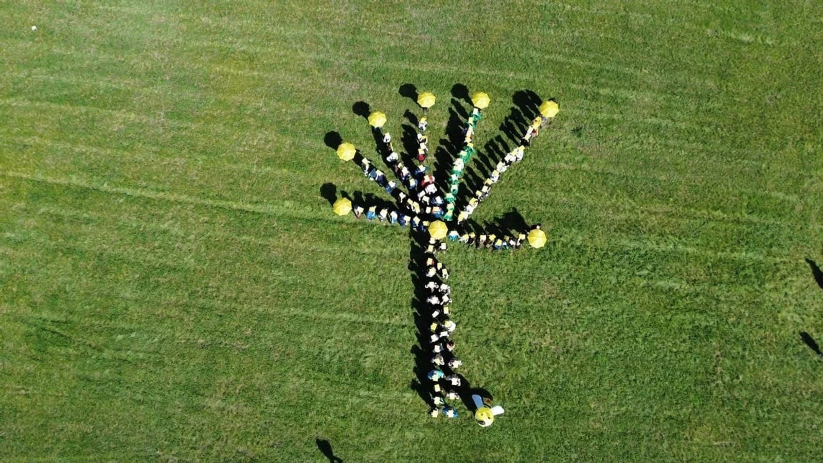 минэкологии РБ