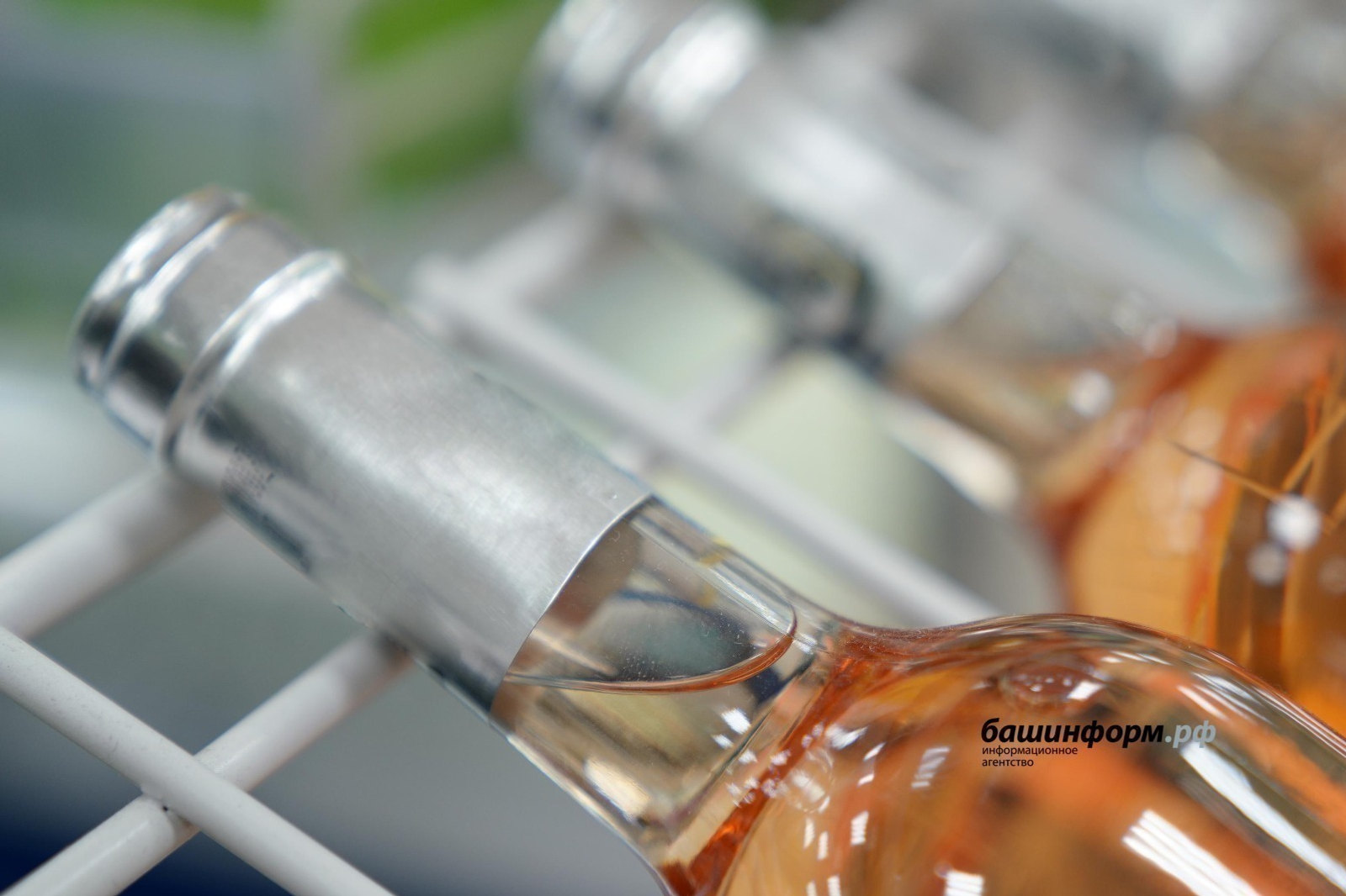 Олег Яровиков / ИА «Башинформ»