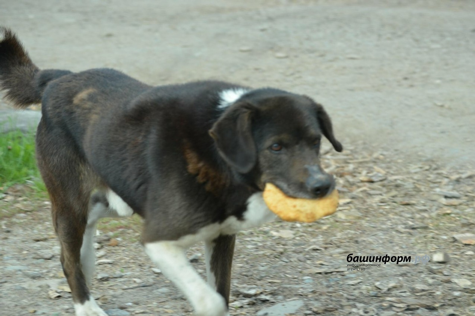 Ксения Калинина / ИА «Башинформ»