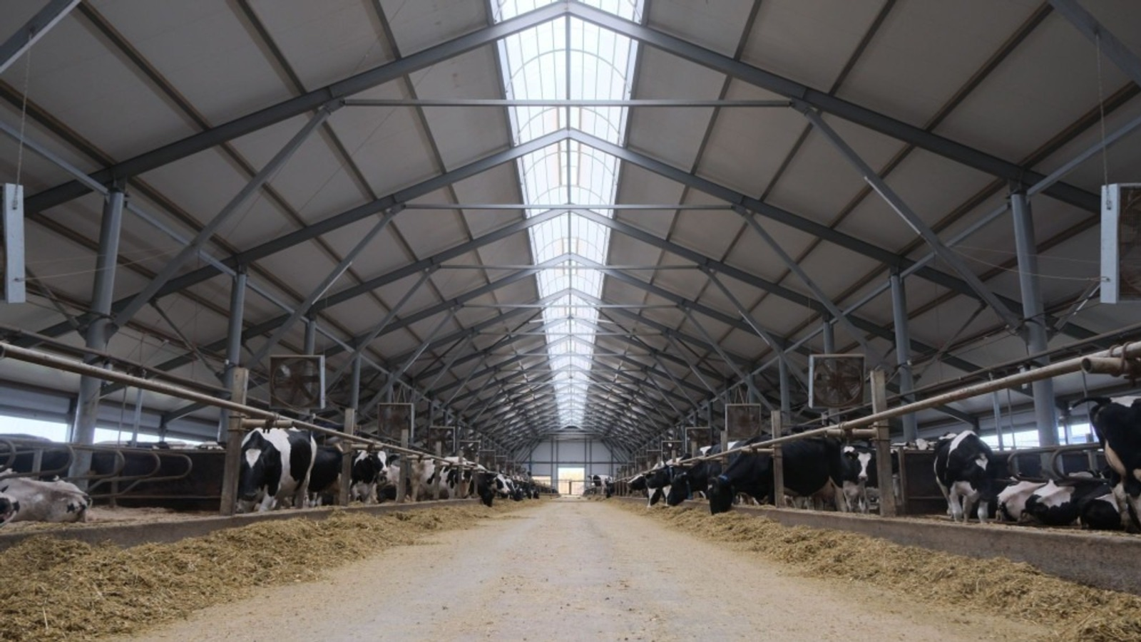 пресс-служба минсельхоза Башкирии