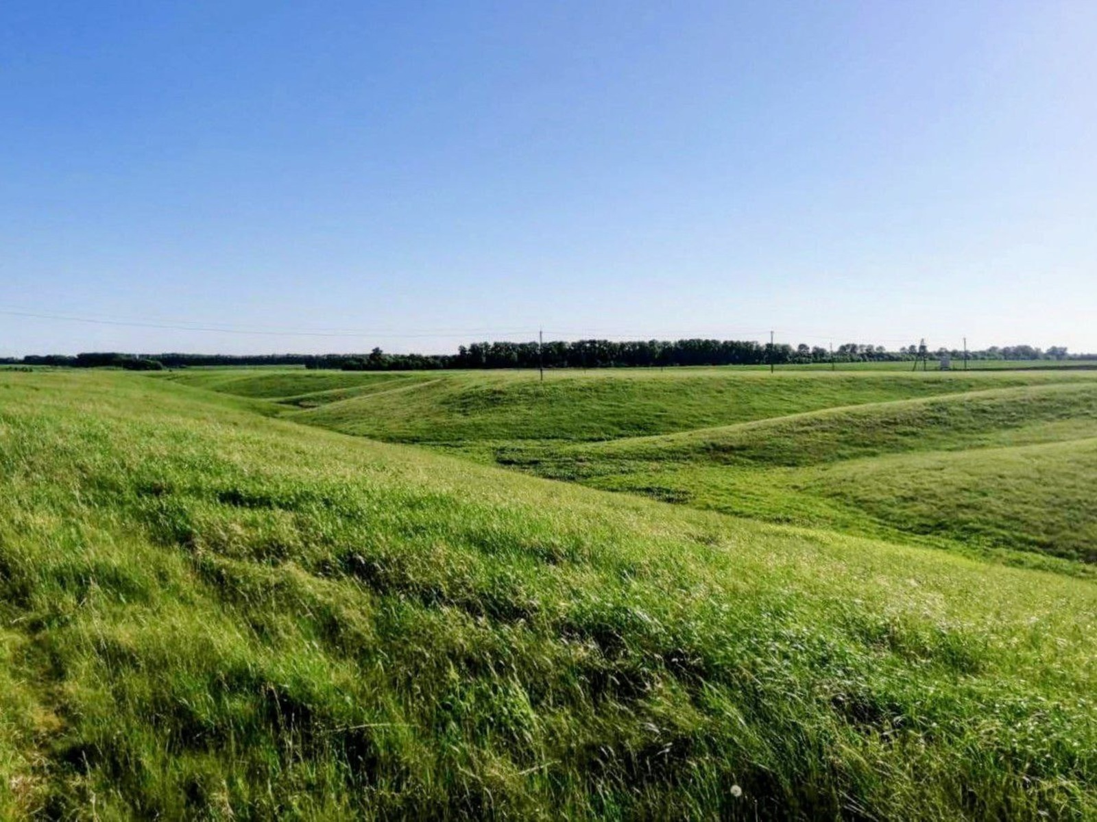 Розалия Хисаева