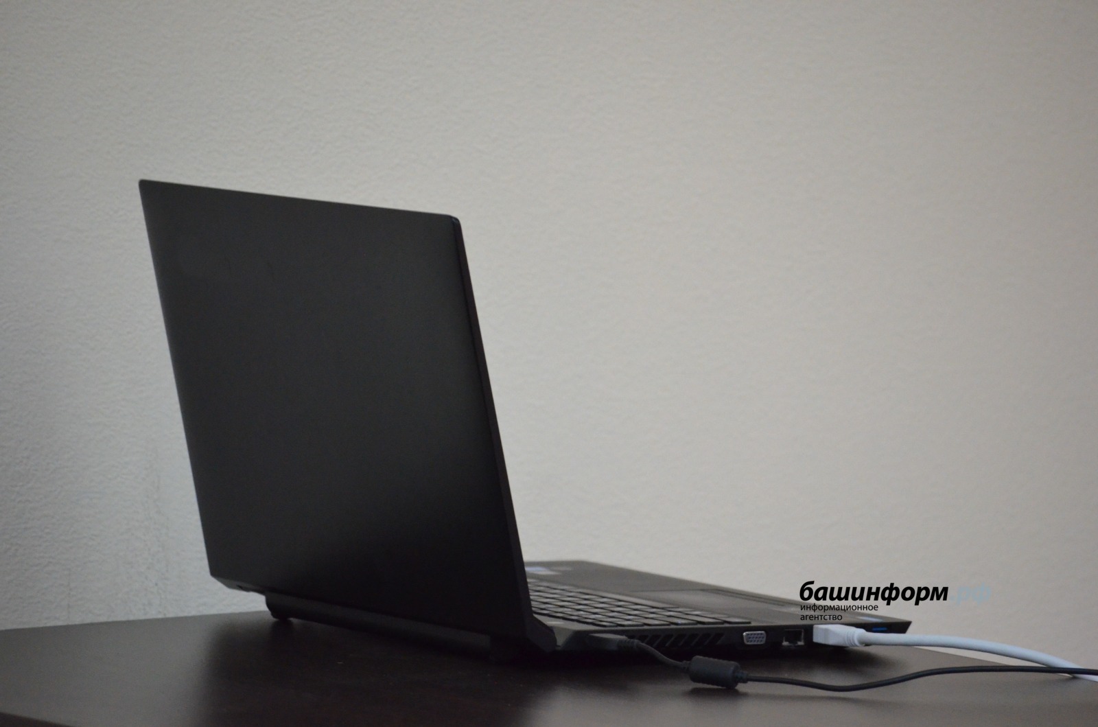 Ксения Калинина