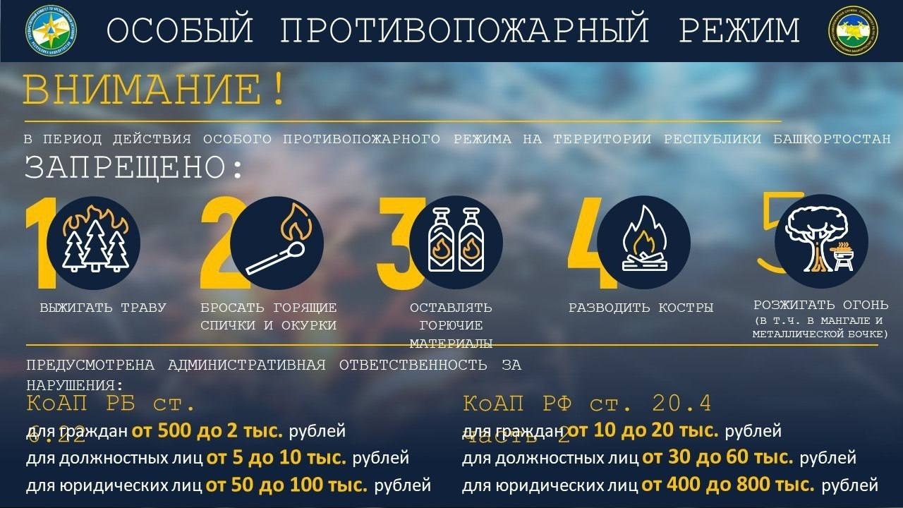 На территории Башкирии с 27 апреля вводится особый противопожарный режим
