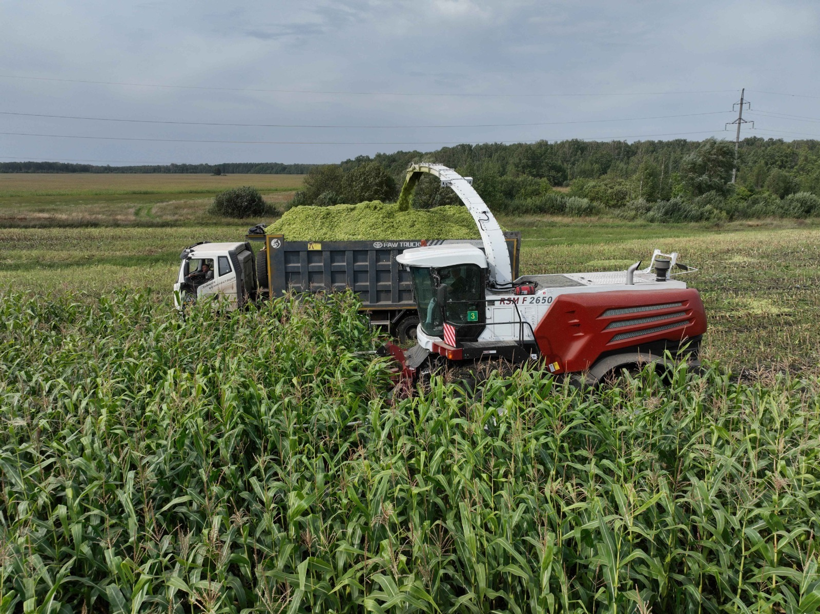 пресс-служба минсельхоза Башкирии