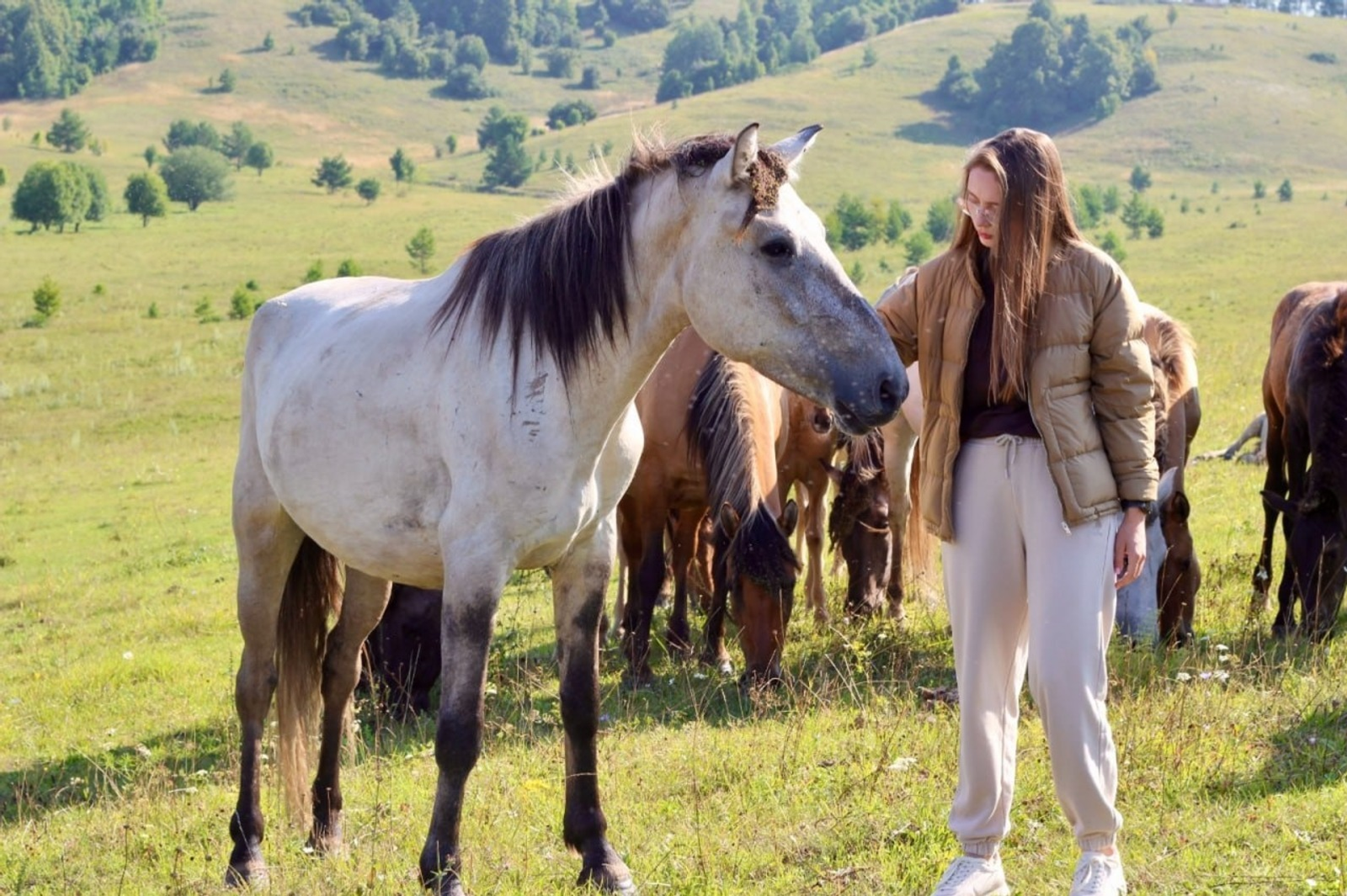 Радий Хабиров, соцсети