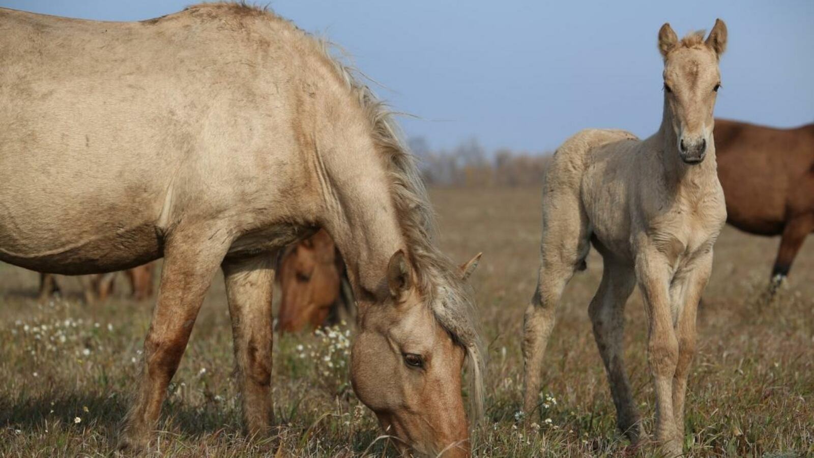 архив ИА "Башинформ"