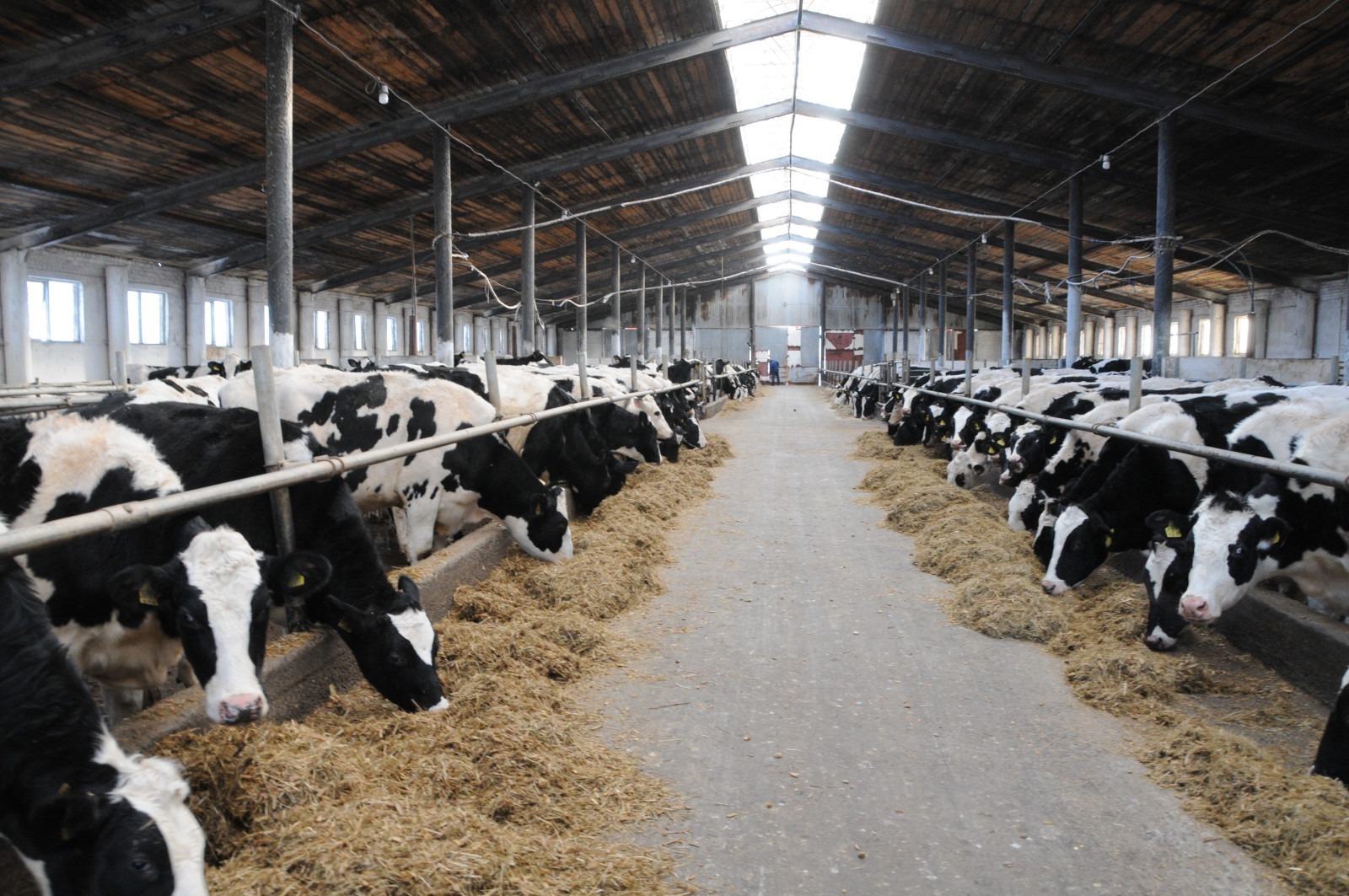 пресс-служба / правительство Башкирии