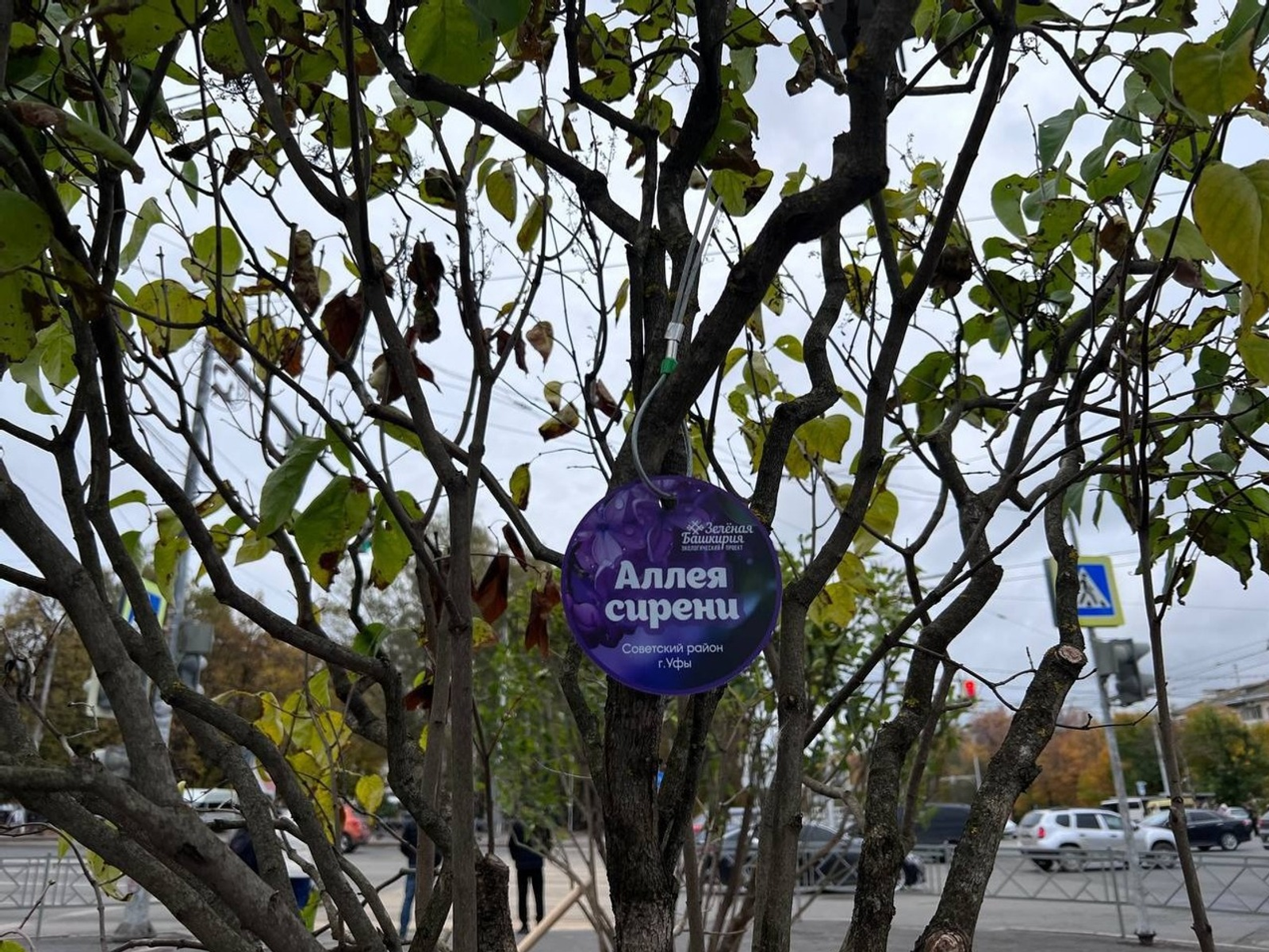 администрация Уфы | архив