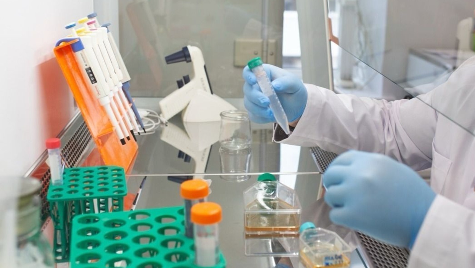 пресс-служба / БГМУ