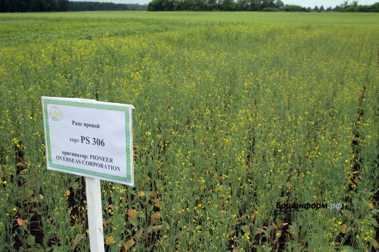 архив ИА "Башинформ"